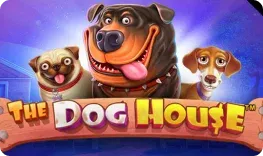 7gold – The Dog House